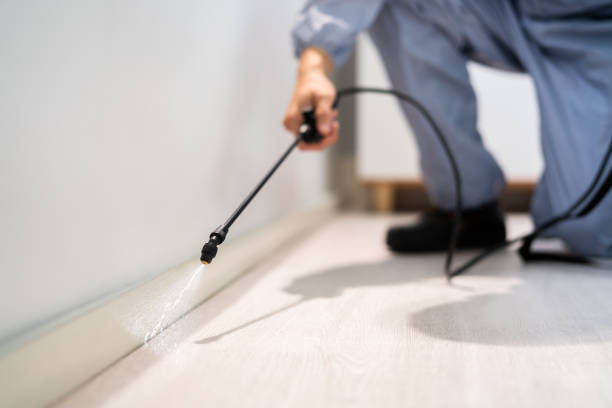 Certified termite inspector examining foundation in Lacon