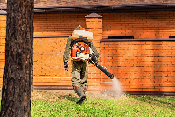 Bed Bug Clearance Verification and Documentation in Lacon